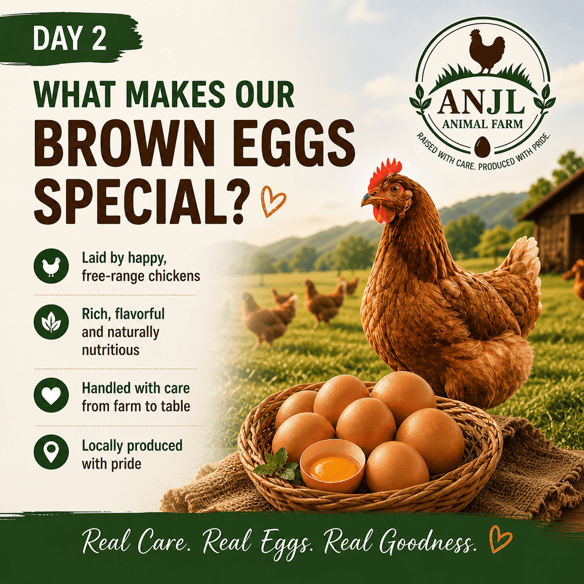 Day 2 — Farm fresh brown eggs at ANJL Animal Farm