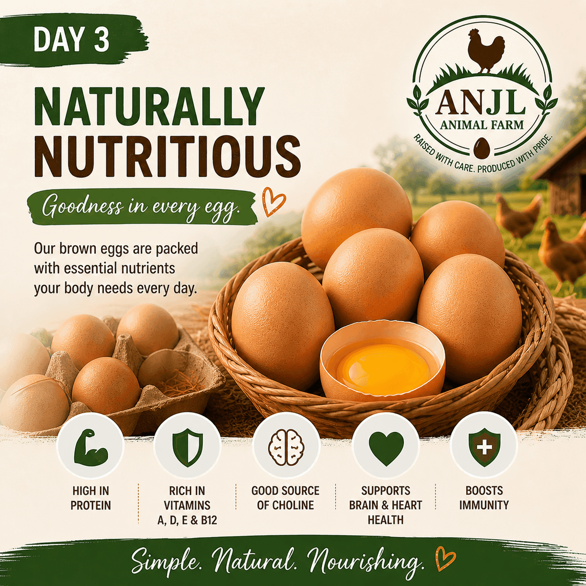 Day 3 — Free-range chickens on open pastures at ANJL Animal Farm