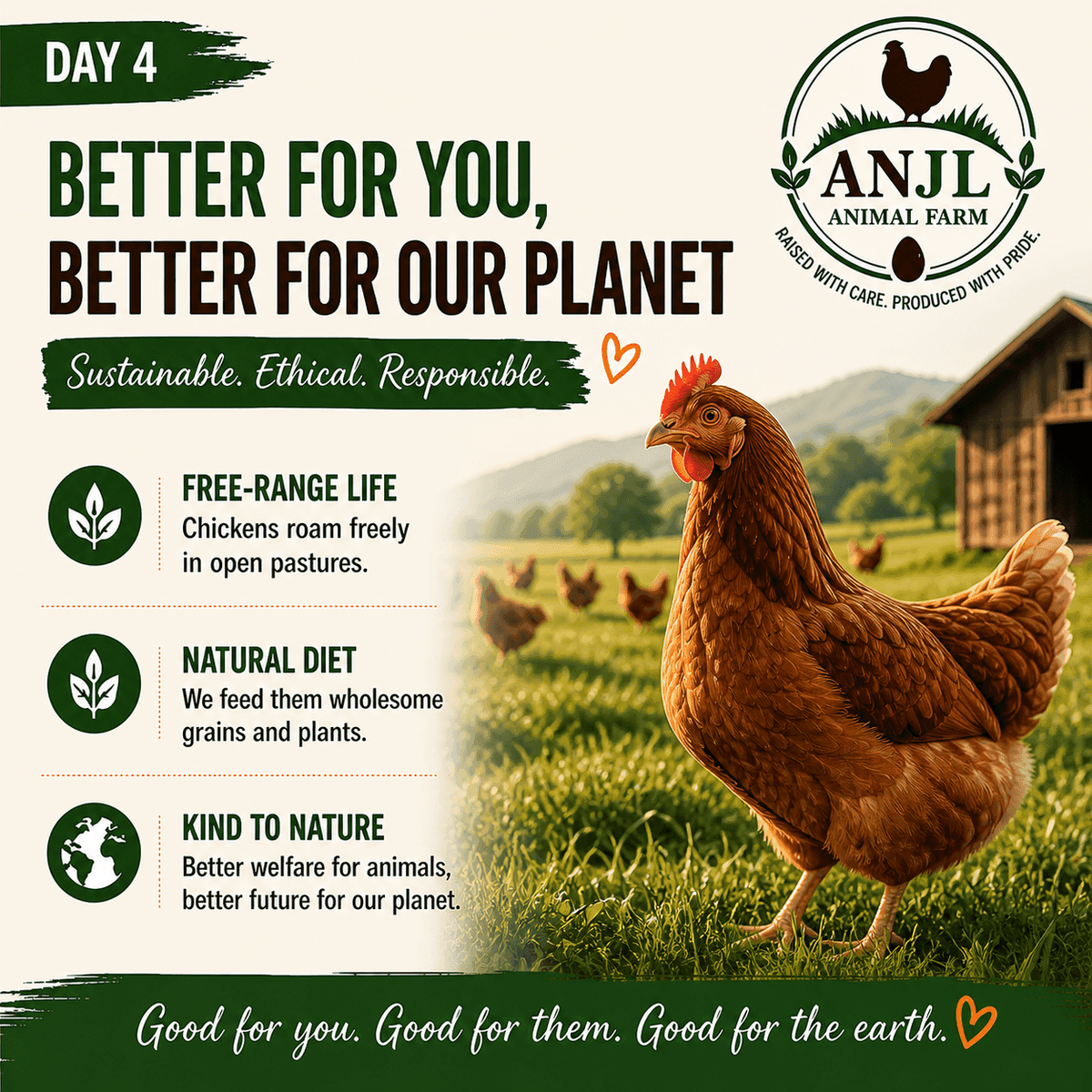 Day 4 — Daily egg collection at ANJL Animal Farm