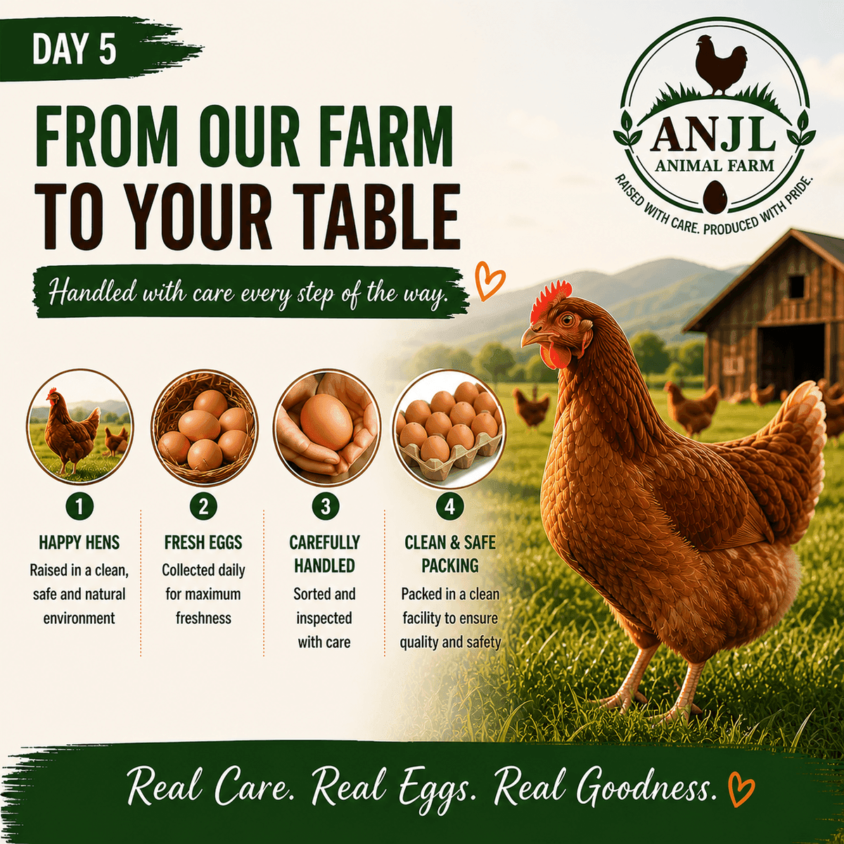Day 5 — Life on the farm at ANJL Animal Farm