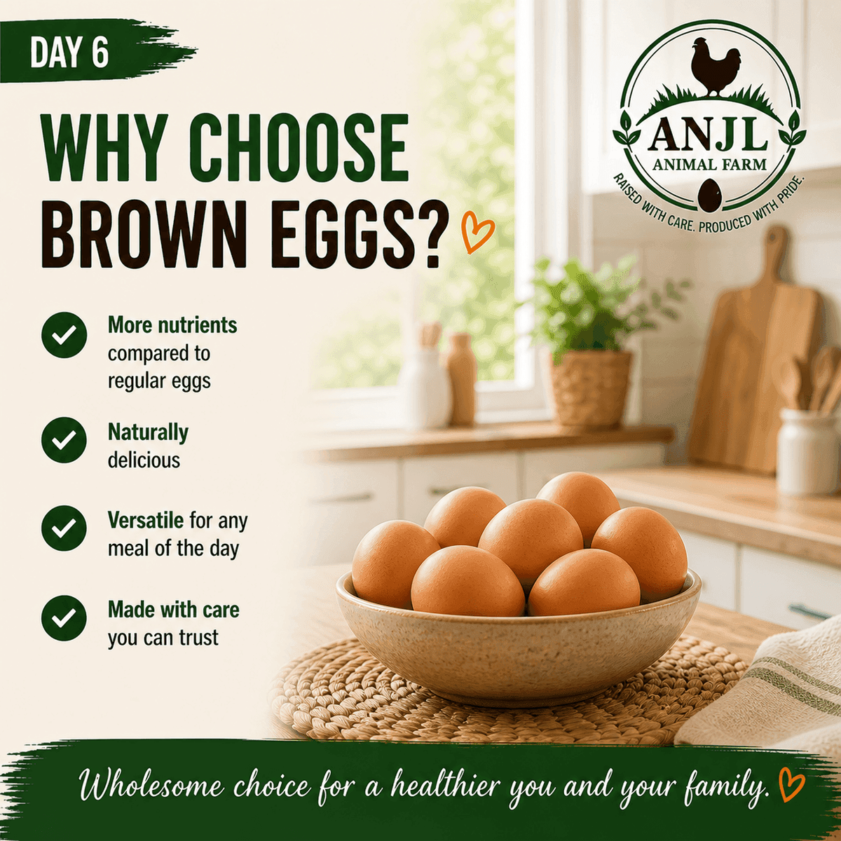 Day 6 — Egg quality and packaging at ANJL Animal Farm