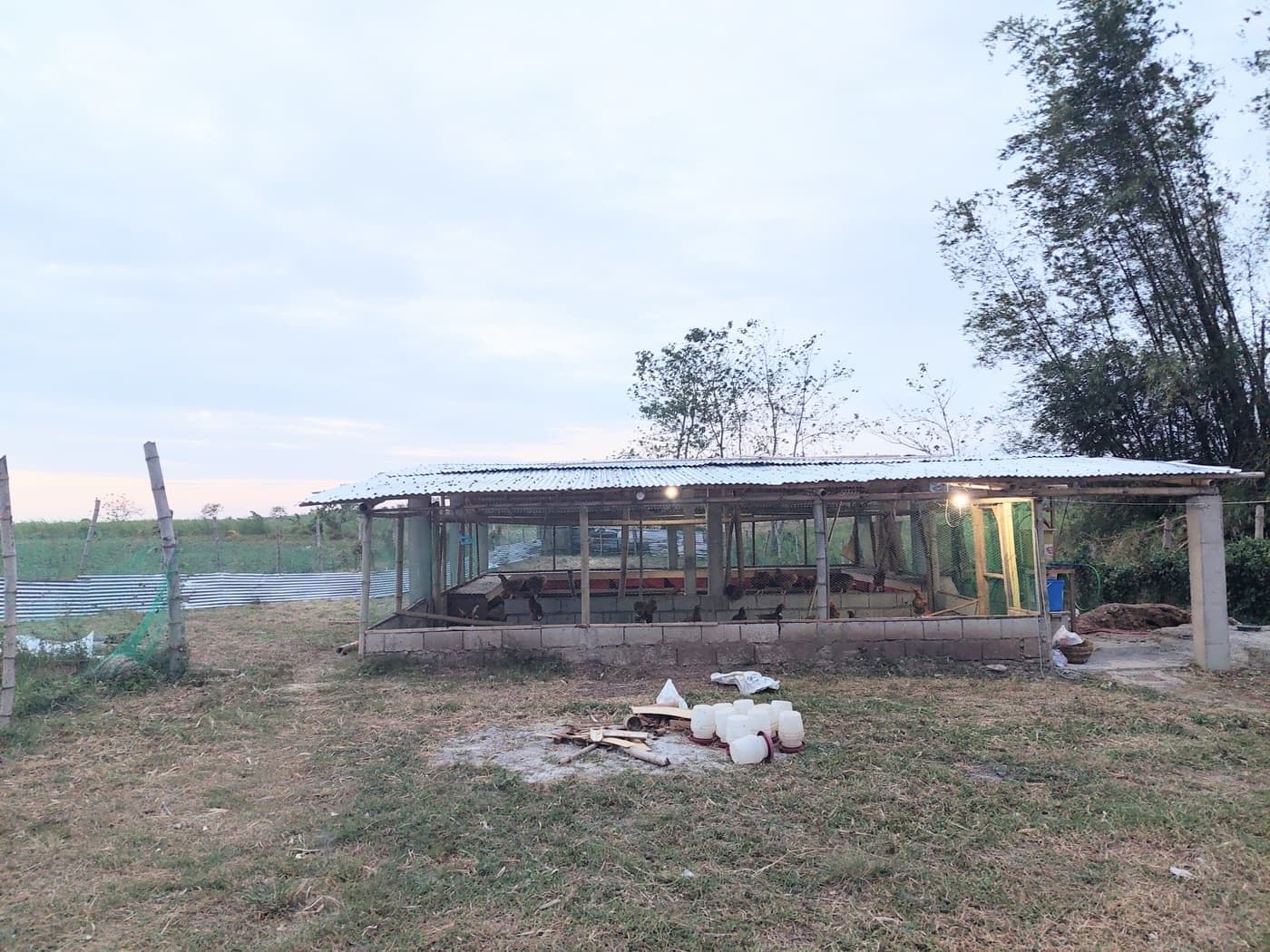 ANJL Animal Farm expanding operations across 5 hectares