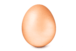 Large brown egg — ANJL Animal Farm